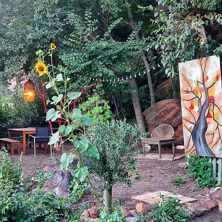 un pied dans la forêt La Capelle-et-Masmolene Exterior foto