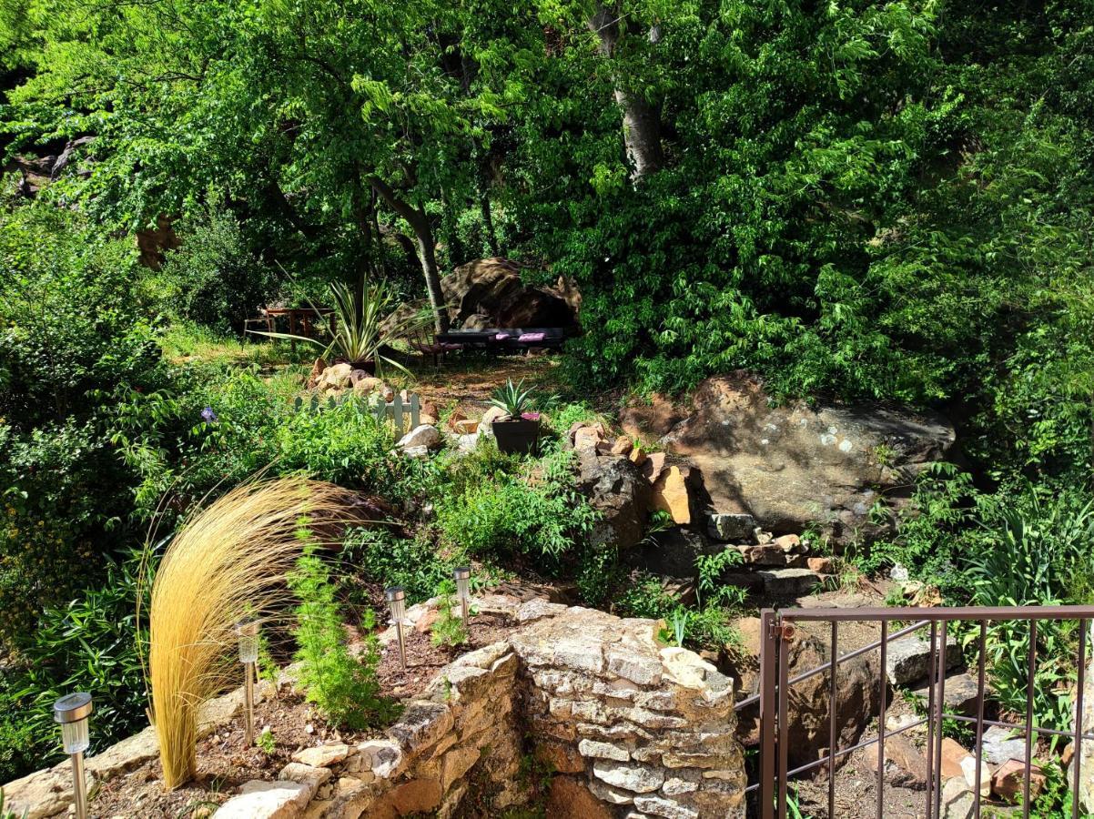un pied dans la forêt La Capelle-et-Masmolene Exterior foto