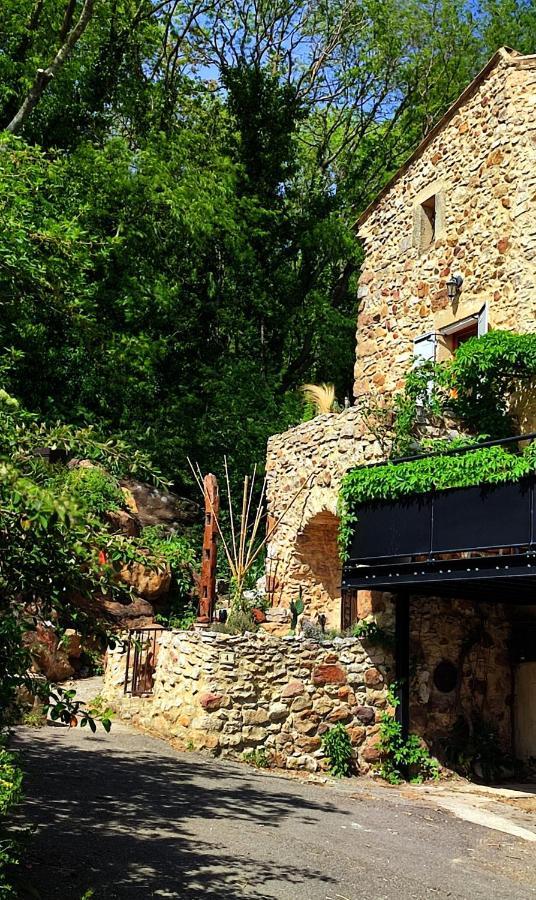 un pied dans la forêt La Capelle-et-Masmolene Exterior foto
